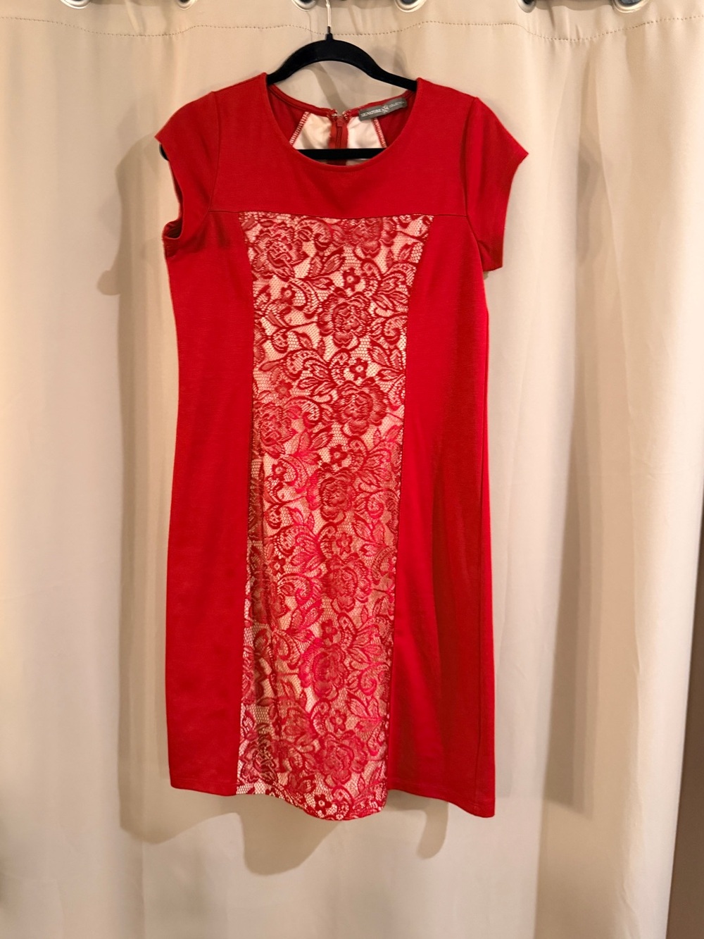 Red Signature Collections Lace Front Dress